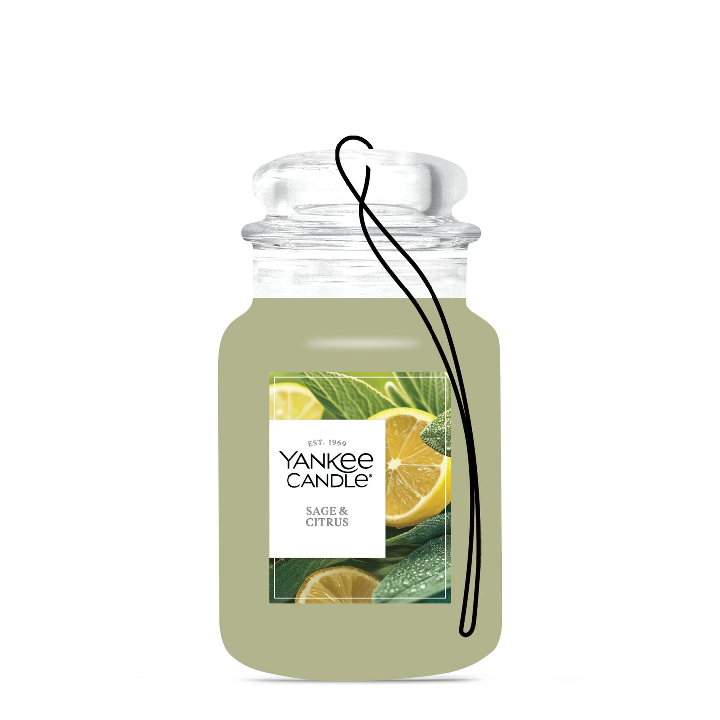 Sage & Citrus Wave 6-0665