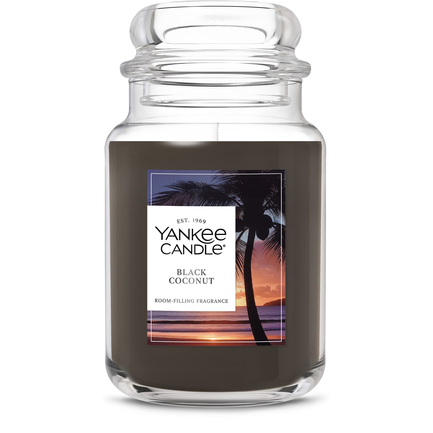 Black Coconut Daily 6-0812